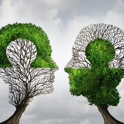 Perfect Business Partnership Perfect business partnership as a connecting puzzle shaped as two trees in the form of human heads connecting together to complete each other as a corporate success metaphor for cooperation and agreement as equal partners.